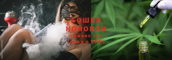бошки Алексин
