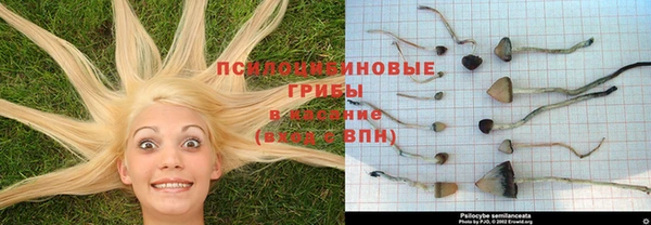 не бодяженный Алексеевка