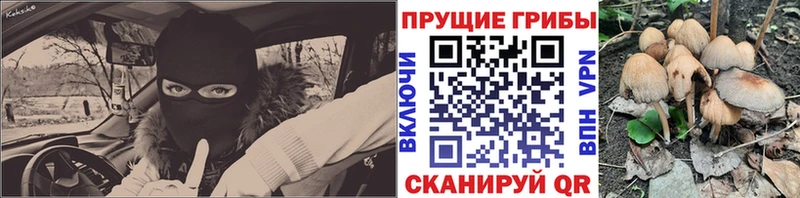 что такое Щёлкино Псилоцибиновые грибы мухоморы
